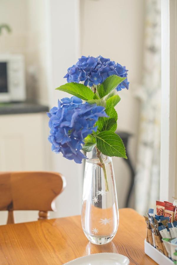 Pant-Y-Celyn Studio Apartment Aberaeron Esterno foto