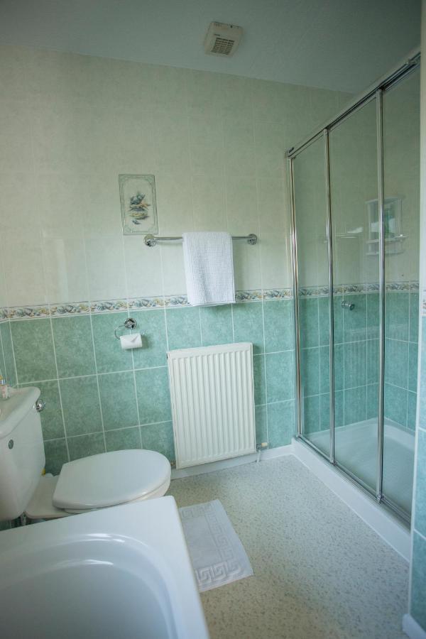 Pant-Y-Celyn Studio Apartment Aberaeron Esterno foto